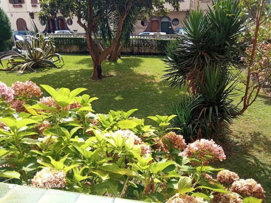 Lovely Apartment In خيتكسو المظهر الخارجي الصورة