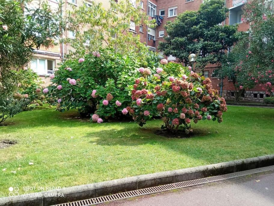 Lovely Apartment In خيتكسو المظهر الخارجي الصورة